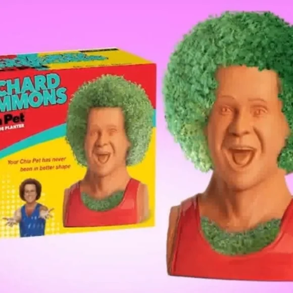 Richard Simmons Lively Green CHIA PET Planter Open Box plants Gift Green - Picture 1 of 4